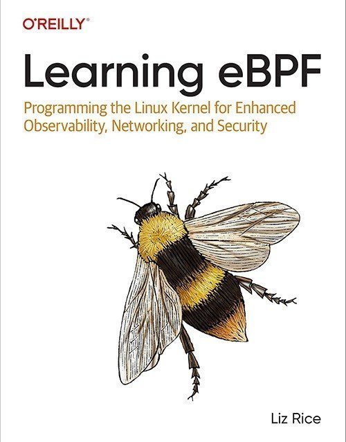 Learning eBPF: Programming the Linux Kernel for Enhanced Observability, Networking, and Security 1st Edition
